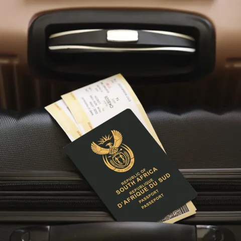 Travel the world